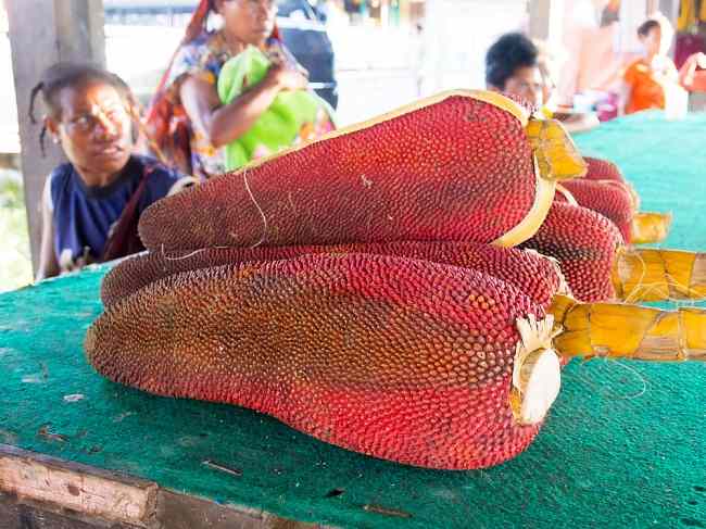 Rahasia Kecantikan Alami Perempuan Papua: Buah Merah, Si