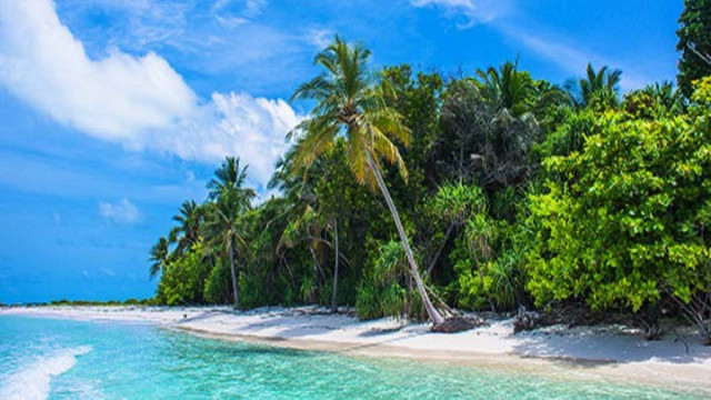 Pulau Kapotar, Destinasi Eksotis dan Surganya Kelapa Lezat Tanah Papua