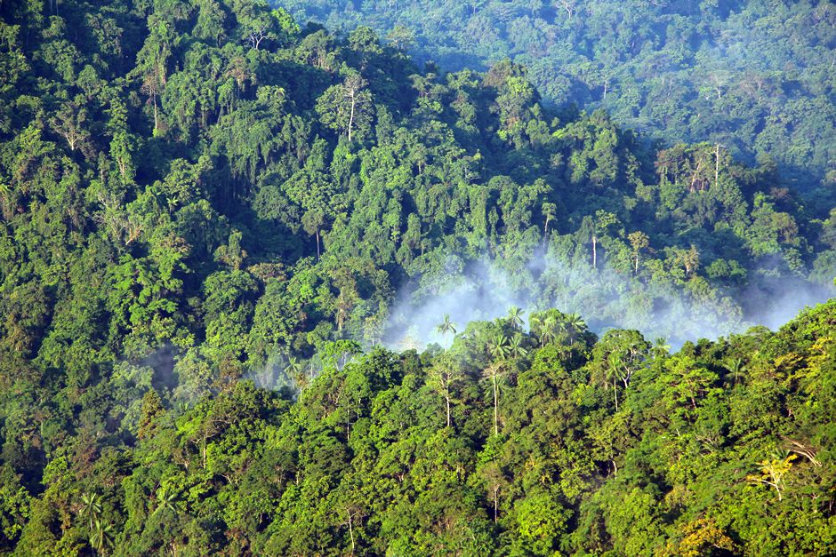 Menyingkap Urban Legend di Papua Tengah, Dari Hantu Hingga Legenda Alam