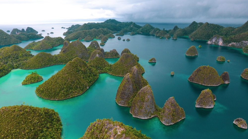 Dari Antam hingga Wanxiang: Jejak 4 Perusahaan Tambang Nikel di Raja Ampat