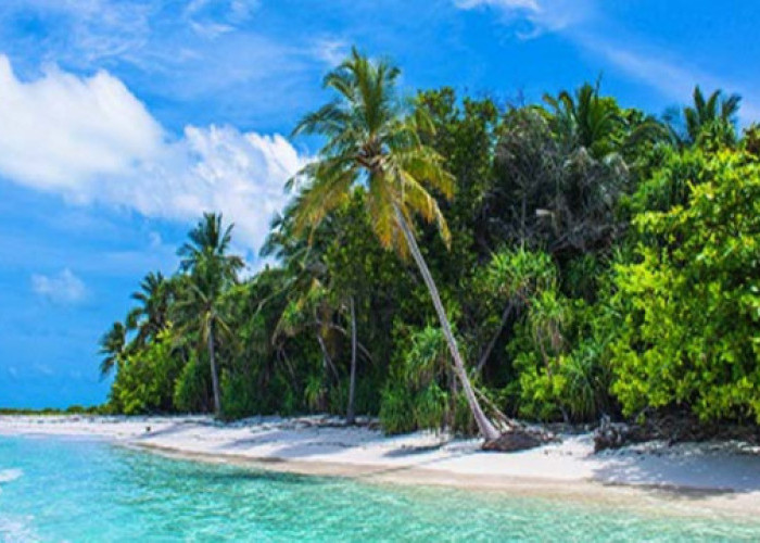 Pulau Kapotar, Destinasi Eksotis dan Surganya Kelapa Lezat Tanah Papua