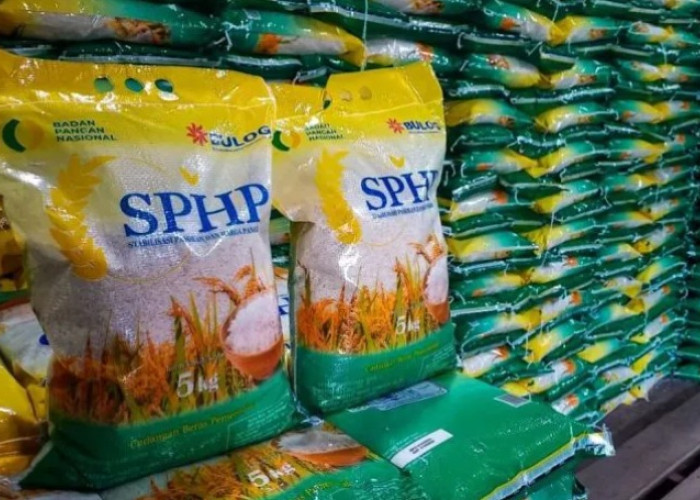1,3 Juta Ton Beras Murah Bakal Disalurkan Lewat 80.000 Koperasi Desa Merah Putih