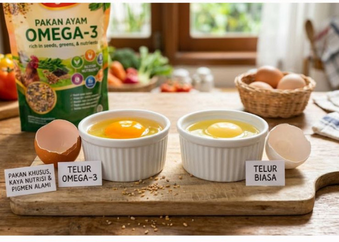 Mengapa Kuning Telur Omega-3 Lebih Cerah? Ternyata Ini Penyebabnya
