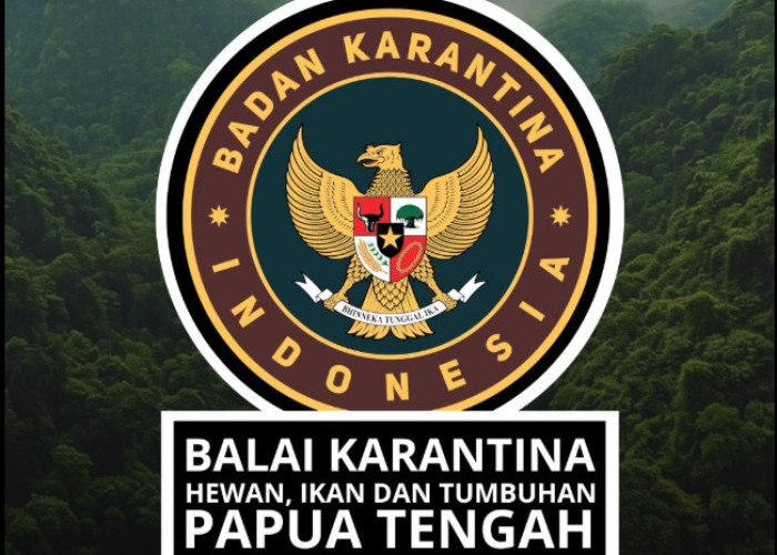 Karantina Papua Tengah Perkuat Pengawasan Komoditas di Lima Titik Masuk