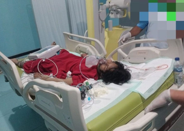 Tukang Ojek di Deiyai Jadi Korban Pembacokan, Polisi Selidiki Pelaku