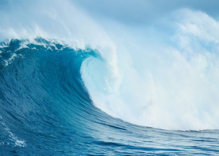 Papua dan Wilayah Timur Terancam Tsunami Usai Gempa Dahsyat di Rusia, Ini Imbauan Resmi BMKG