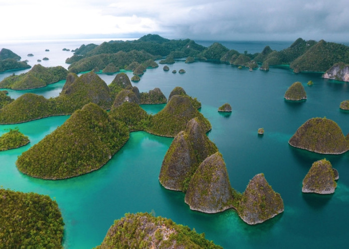 Dari Antam hingga Wanxiang: Jejak 4 Perusahaan Tambang Nikel di Raja Ampat