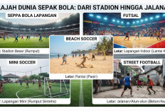 Mengenal Beragam Jenis Sepak Bola, Aturan Bermain, dan Manfaatnya untuk Kesehatan