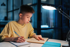 Rahasia Sukses Belajar Mandiri Tanpa Tutor, Dijamin Lebih Fokus dan Efektif