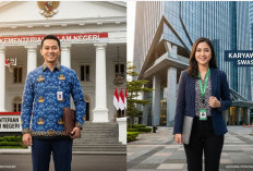 PNS vs Kerja Swasta, Mana yang Lebih Menjanjikan untuk Masa Depan?