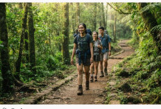 Mau Trekking? Ini Tips Aman untuk Pemula yang Wajib Dipersiapkan