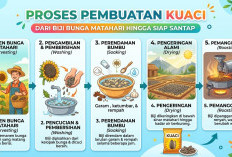 Kuaci Ternyata Kaya Nutrisi, Begini Proses Pembuatan dan Kandungannya