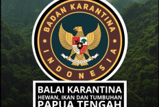 Karantina Papua Tengah Perkuat Pengawasan Komoditas di Lima Titik Masuk