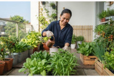 Hemat Belanja Sayur, Ini 7 Jenis Sayuran yang Mudah Ditanam di Pot di Rumah