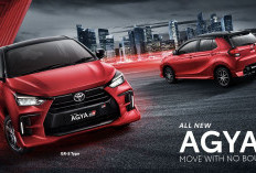Review Lengkap Toyota Agya sebagai Mobil Pertama: Testimoni Asli Pengguna Bikin Yakin!