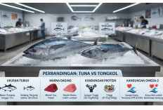 Tongkol vs Tuna, Mana yang Lebih Sehat? Simak Perbandingan Nutrisinya
