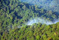Menyingkap Urban Legend di Papua Tengah, Dari Hantu Hingga Legenda Alam