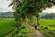 Jauh dari Keramaian, Ini Alasan Wisata Tenang Semakin Digemari