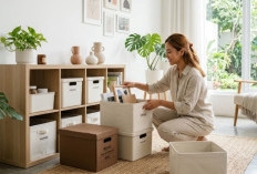 Rumah Rapi, Hidup Lebih Nyaman! Mengenal Konsep Minimalisme Modern